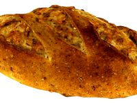 The Cheese Campagne by AmazingDesign