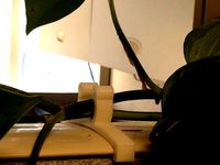Cube Clip for Vine Plant by jgoss