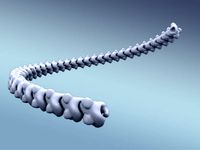 Spine Chain by Davision3d