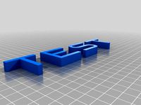 First test with dual extruder by Anth