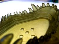 T-Rex dish / card holder by coolusername