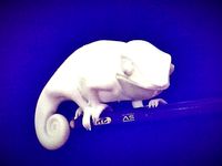 Chameleon DeskPal by ModernGnome