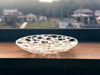 Voronoi dish by kazuhiro