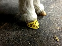 Horse hoof ornament by SteveC