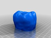 Molar 16 (Human teeth) by maggiman2001