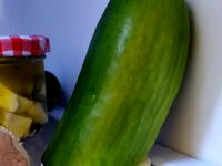 Curcubator. Store curcubit offcuts. Cucumbers, zucchini etc. by BrettCNC