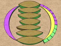 FINE ART RING by leonk