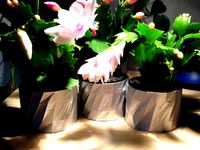 Flower Pot "PoliPod" by MrFreakman