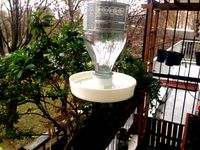 Abreuvoir pour oiseaux sur bouteille - Soda Clean water dispenser for birds by Blumax