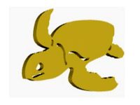 sea turtle by isaachadad