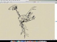 Abstract Bird  by sukiyumi