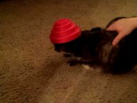 Energy Dome / Devo Hat by Murdock