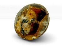 The Katsudon by AmazingDesign