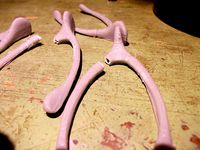 Wishbone by cerberus333