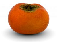 The Persimmon by AmazingDesign