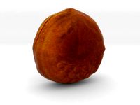 The Chestnut Bun by AmazingDesign