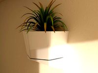 Wall Vase by mnemo80