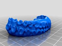 Octopus texture by soraokamoto