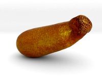 The Yellow Cucumber by AmazingDesign
