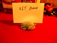 Turkey Place card holder by cerberus333