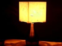 "Power My Circuit" Lamp Shade By Mazuir Ross (Assembly Required) by Mazuir