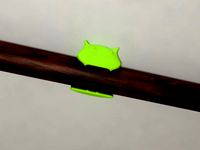 Wall hook troll by PRATRIK