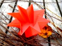 Star Bowl - Bol étoile by Shapescribe
