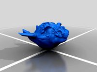 Dragon head - experiment with Sculptris by BreKanak