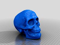 scan by Barblebapkins