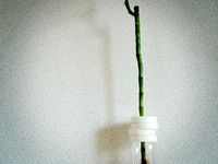 PET VASE CAP_02-wall by masa4dc