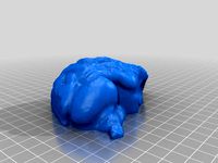 Left and Right Brain by CBuck