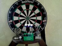 Dart Gear Organiser - Team Laguna Dart by barspin