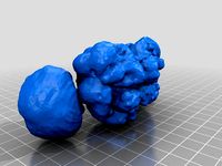 Fruit Fly Brain by naimo