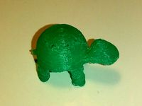 Turtle! by AshtheTurtle