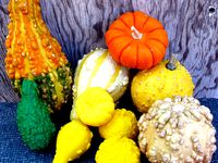 Five Gourds by pmoews
