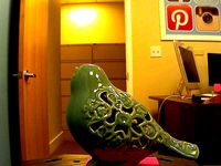 Bird Scan by UpTempoTech