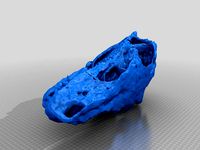 Herrerasaurus Skull by Lindblum
