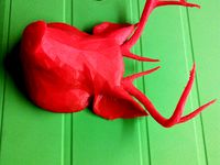 Pig with antlers by stewardj