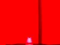 rabbit by frontierjp