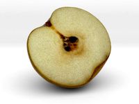 The Pear-Half by AmazingDesign
