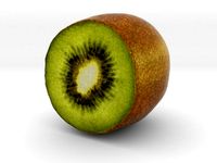 The  Kiwifruit-Half by AmazingDesign
