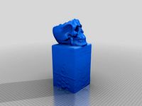 3d scan of a skull on a plinth by daveb500