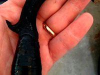 Rope pole hook by mfinn
