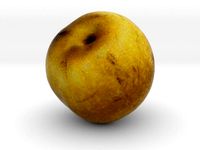 The Pear by AmazingDesign