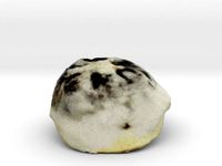 The Azuki Manju by AmazingDesign