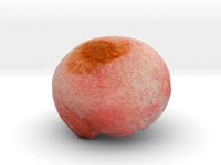 The Red Manju by AmazingDesign