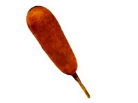 The Corn dog by AmazingDesign