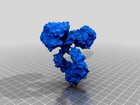 Immunoglobulin by Anthromod