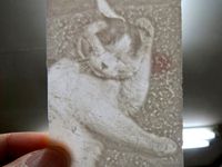 lithophane cat by ichibey