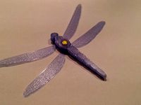 dragonfly / Libelle by rainerharwig